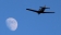 Bellanca and moon number 4 Dec 22 2023